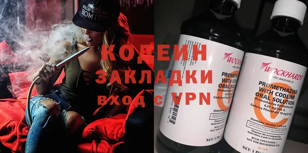ешки Вяземский