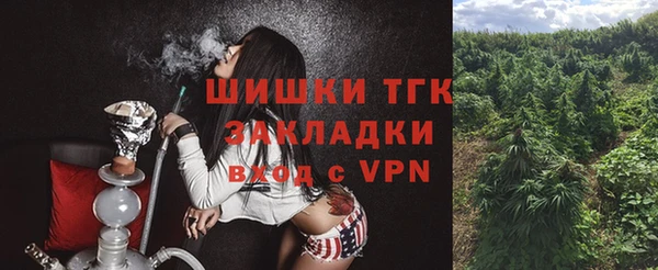 молекула духа Навашино
