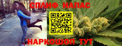 сатива Жуковский