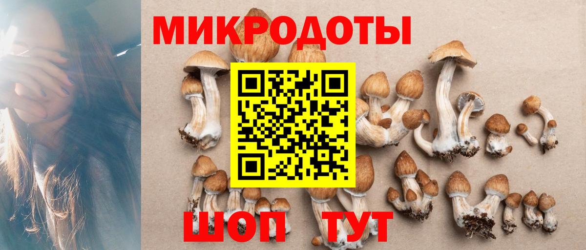 Галлюциногенные грибы мухоморы  Вход с VPN  Галлюциногенные грибы прущие грибы  Кумертау 